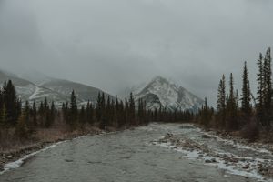 Snow-capped mountain peaks rise above a winding river through a dense evergreen forest.