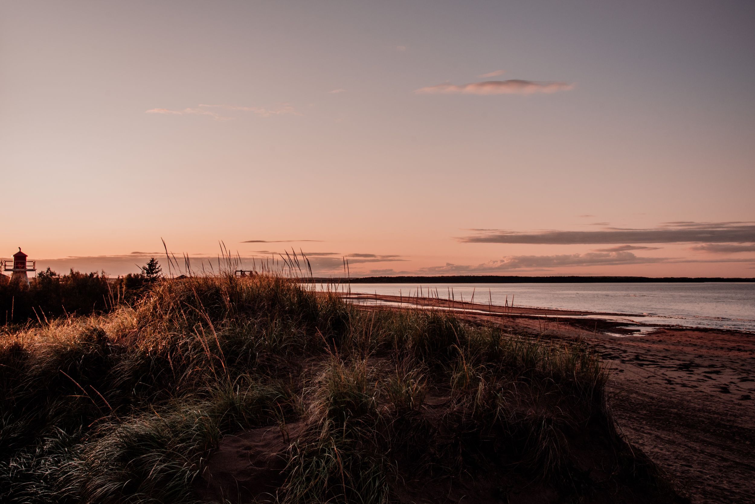 Golden sunset over a coastal beach with tall grass silhouettes in the foreground.