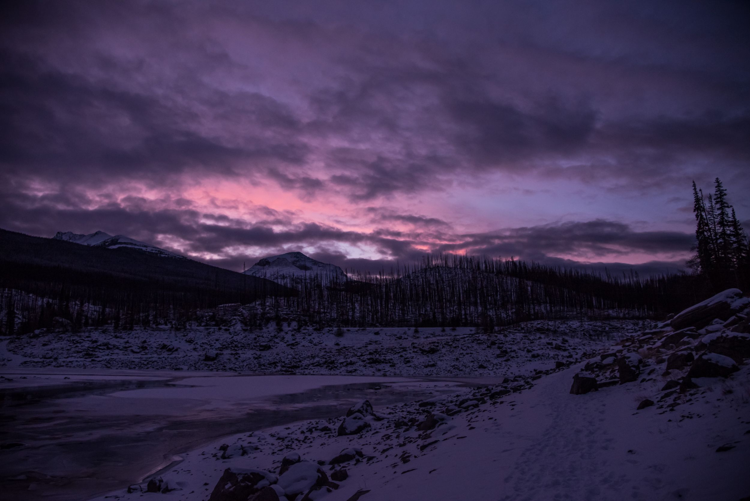Purple and pink sunset illuminates snowy mountain landscape with dark winter trees.
