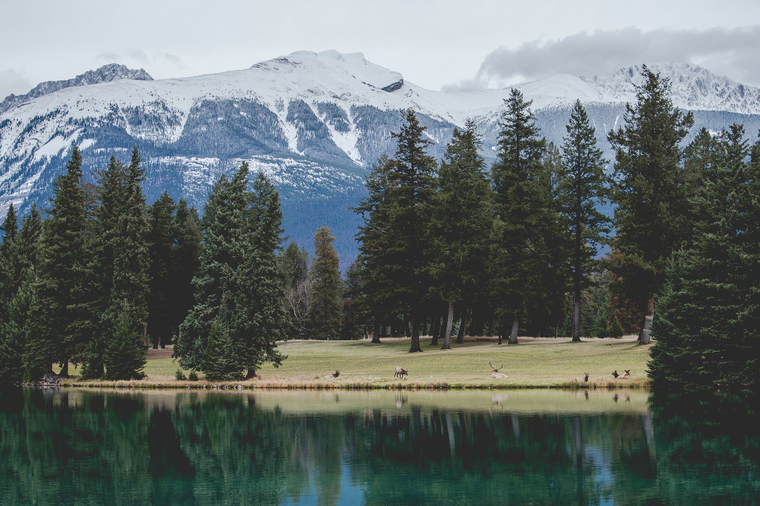 A serene mountain lake reflects snow-capped peaks and evergreen forest.