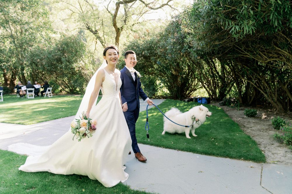 A couple walks along a garden path with their Samoyed dog following behind.
