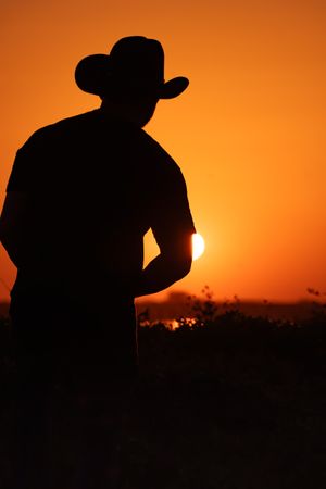 Dramatic silhouettes of people wearing cowboy hats against a vibrant orange sunset.