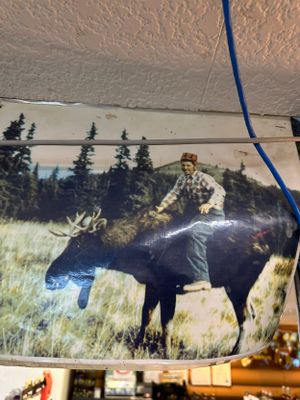 Man riding moose at yukon gas station