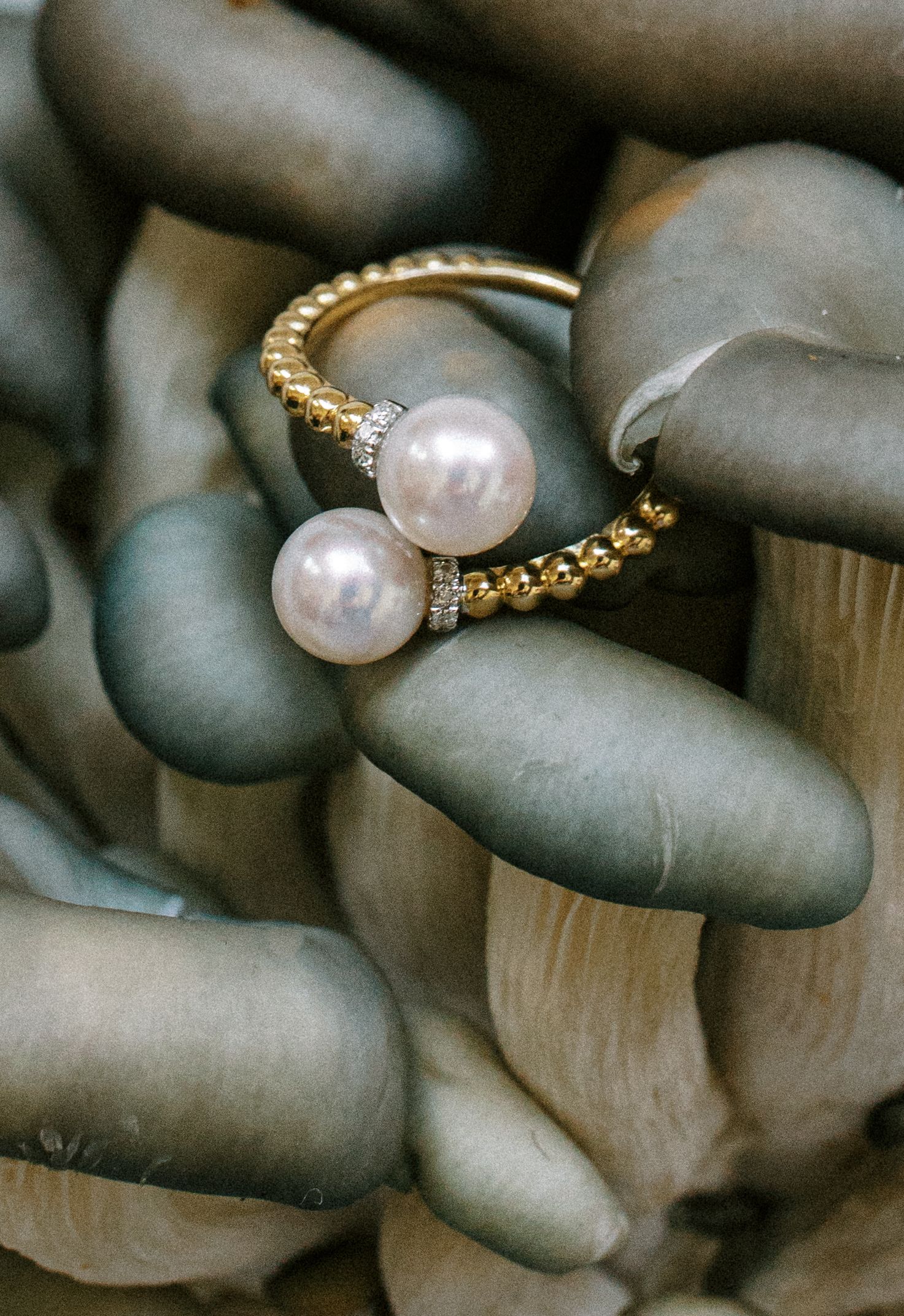 Mushrooms and jewelry, a J.Brooks Jewelers campaign