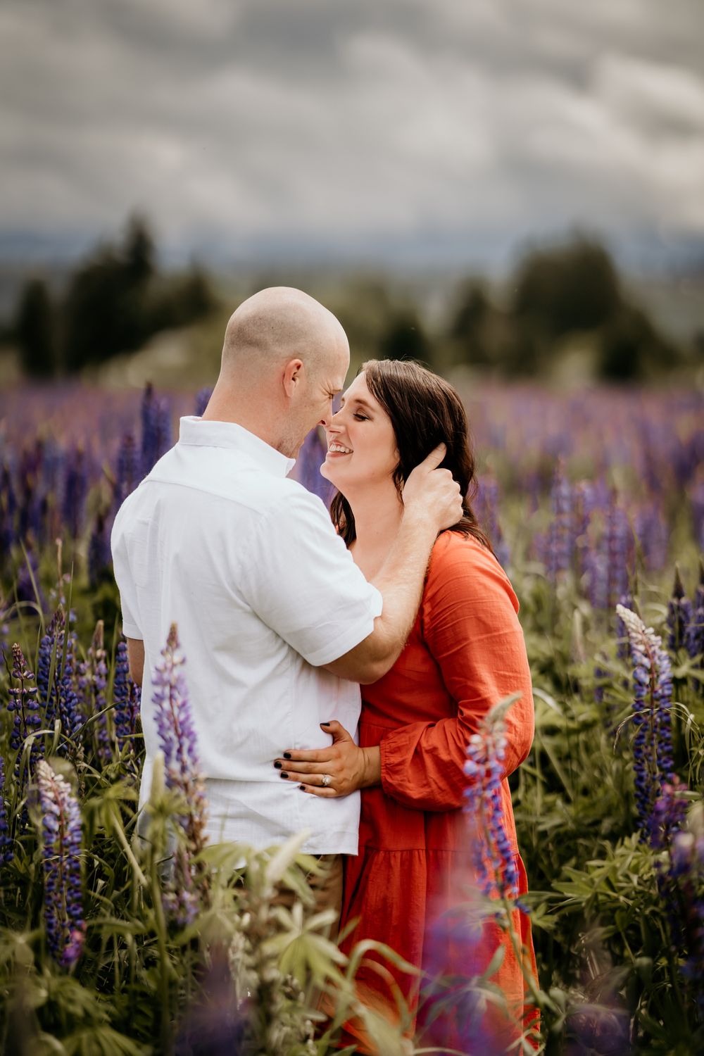 Washington Lupine field family portrait session by wander and wild photography