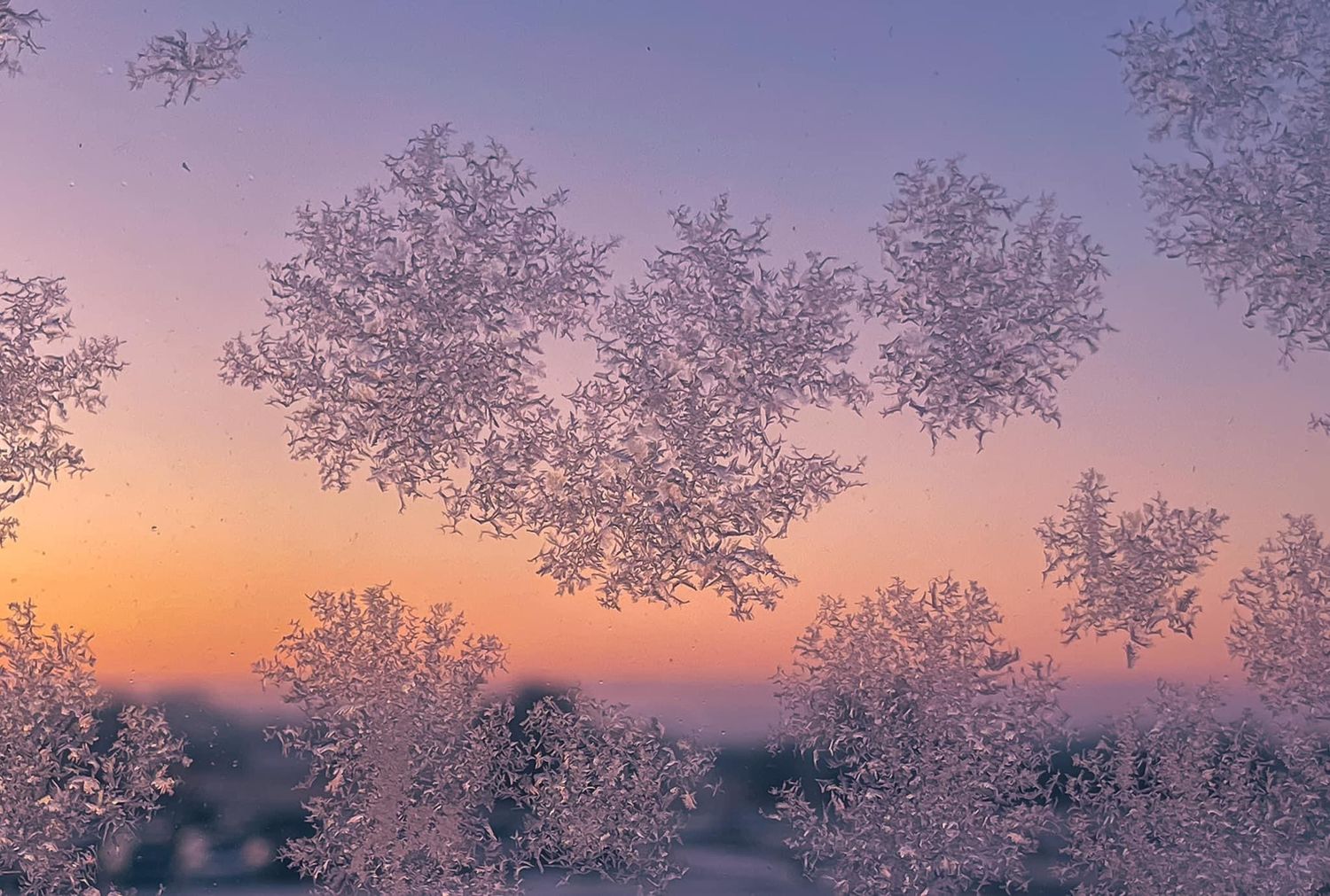 Frosted winter window panes with delicate ice crystal patterns at sunset.
