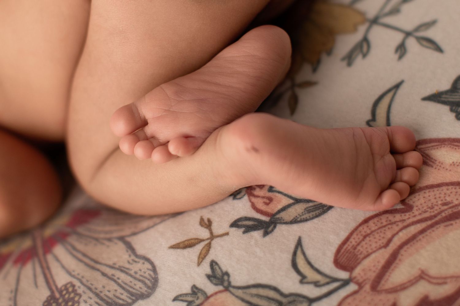 Sara Prue Photography- Creating timeless newborn portraits.