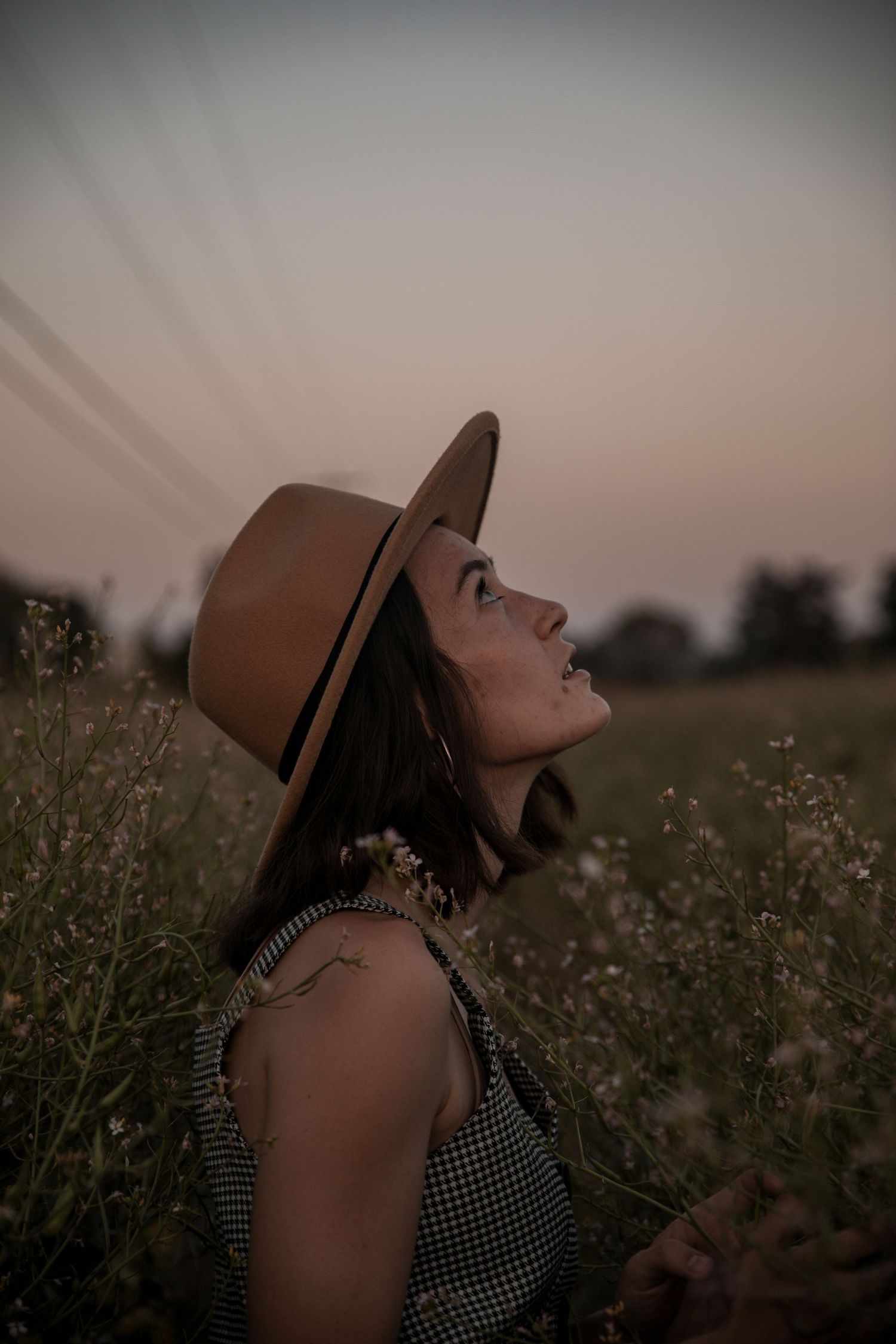 A figure in a brown hat gazes upward in a wildflower field during golden hour.