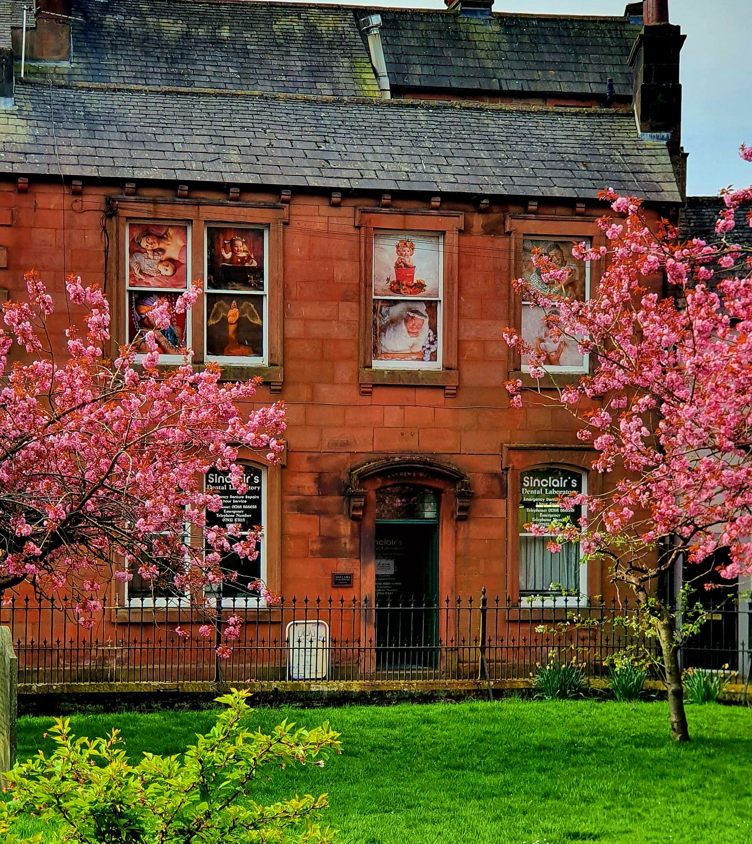 Red brick house with decorated windows and pink cherry blossom trees in full bloom.