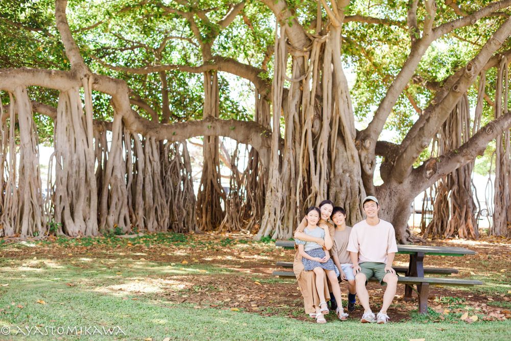 People sit together under a massive banyan tree with hanging aerial roots in a tropical setting.