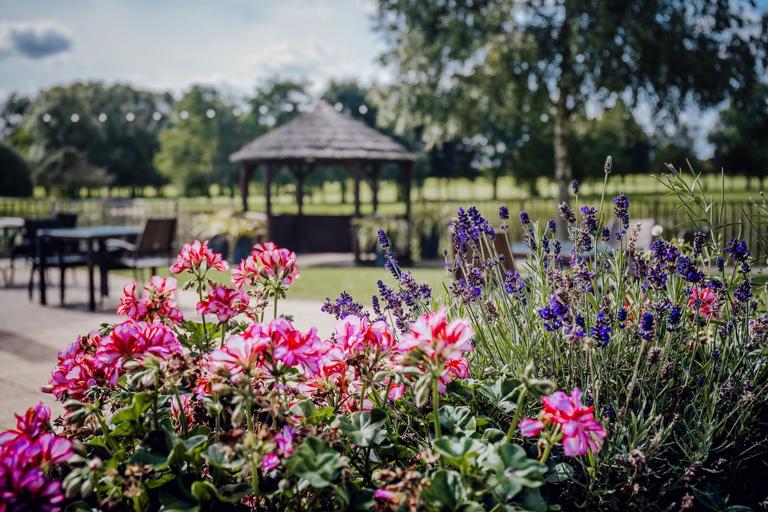 Vibrant pink and purple flowers blooming near garden path with gazebo in background.