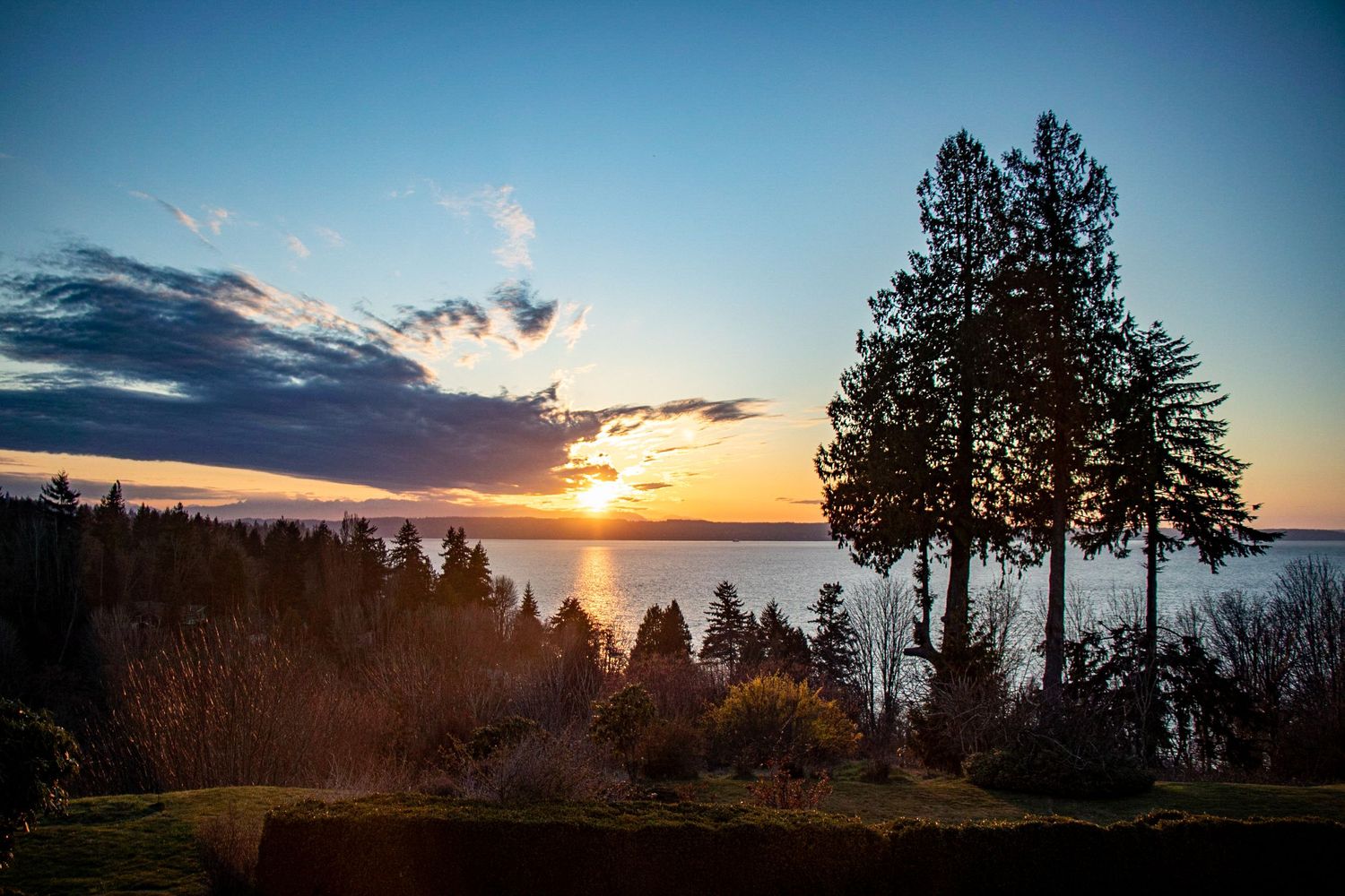 Focus Photography in Everett Washington