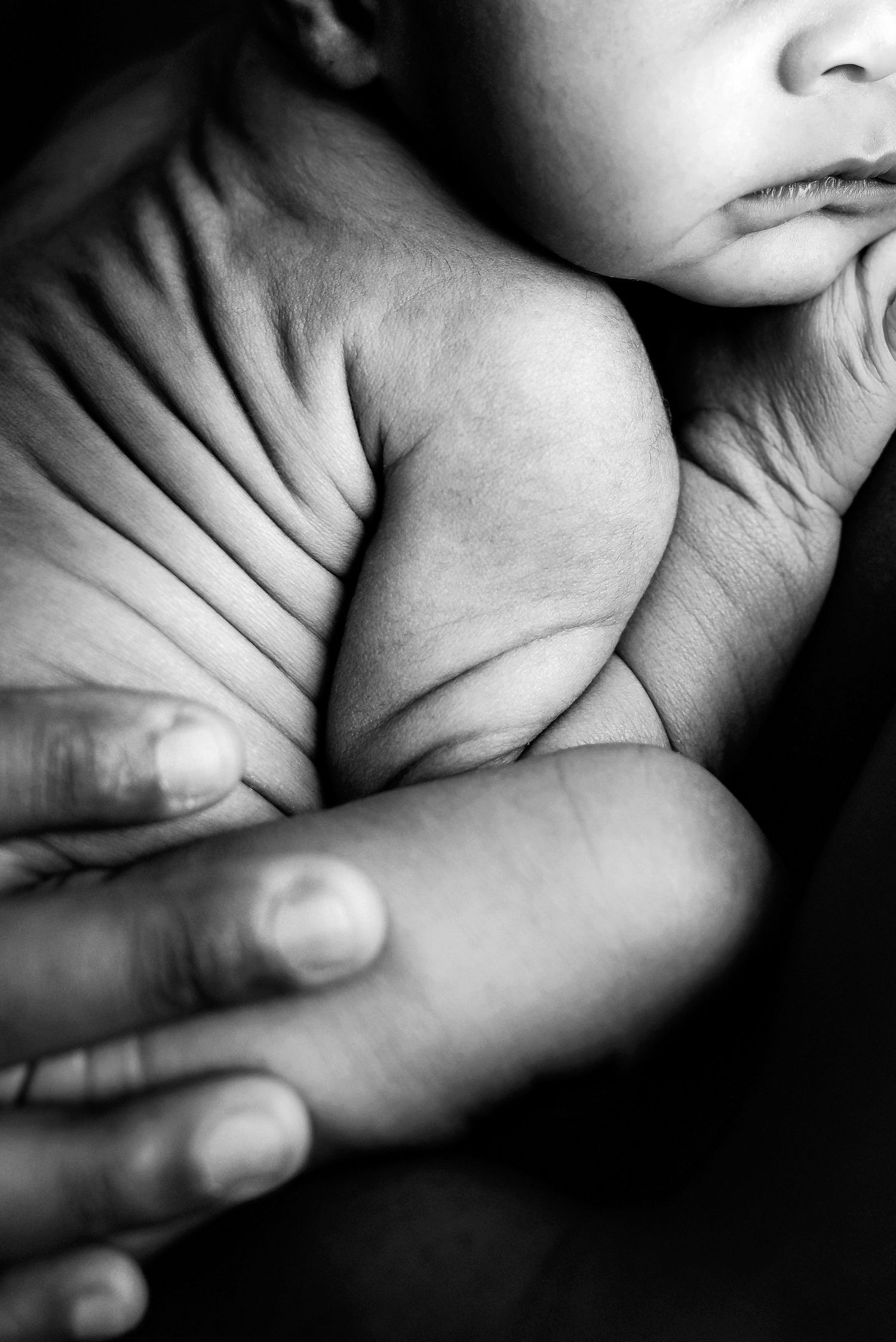 rochester baby photographer, newborn photographer rochester ny, rochester newborn photography