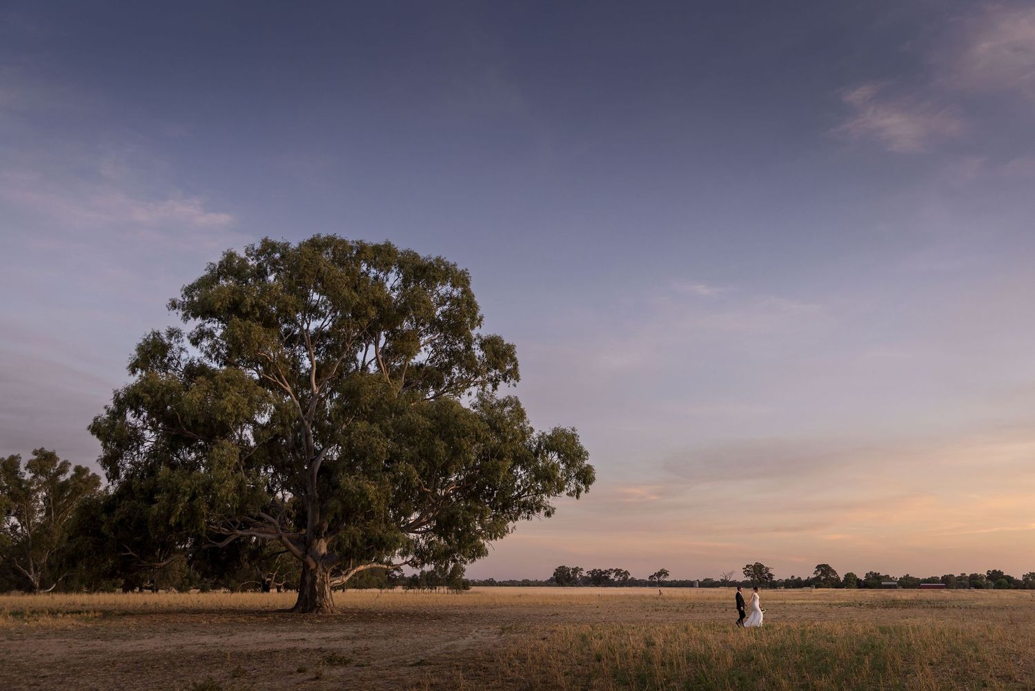 Bendigo Wedding, Bride and Groom, Sunset wedding Photo, Wedding Photography