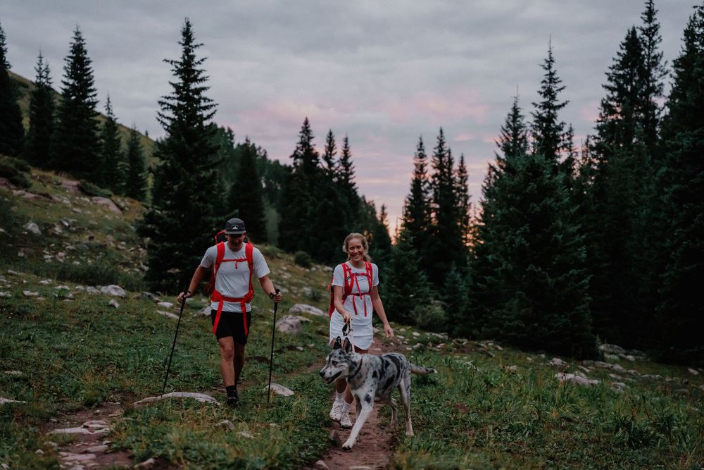 Hikers with trekking poles and dog walking through alpine meadow at sunset.