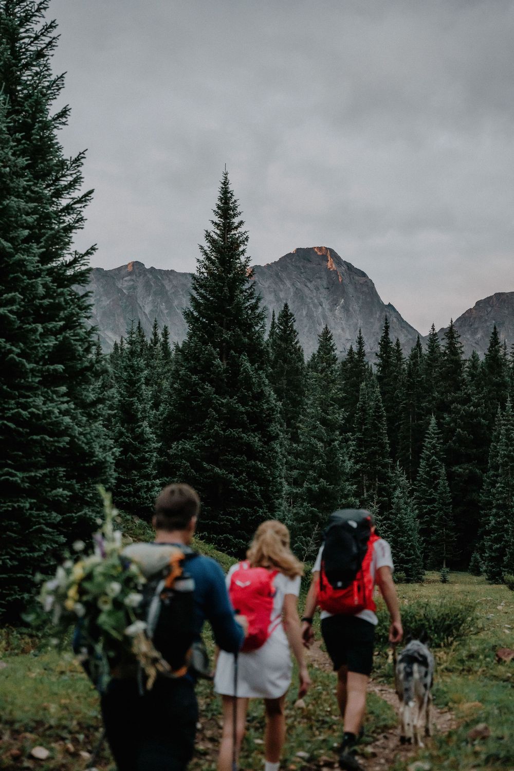 Hikers with backpacks and a dog trek through evergreen forest towards majestic mountain peaks under moody skies.