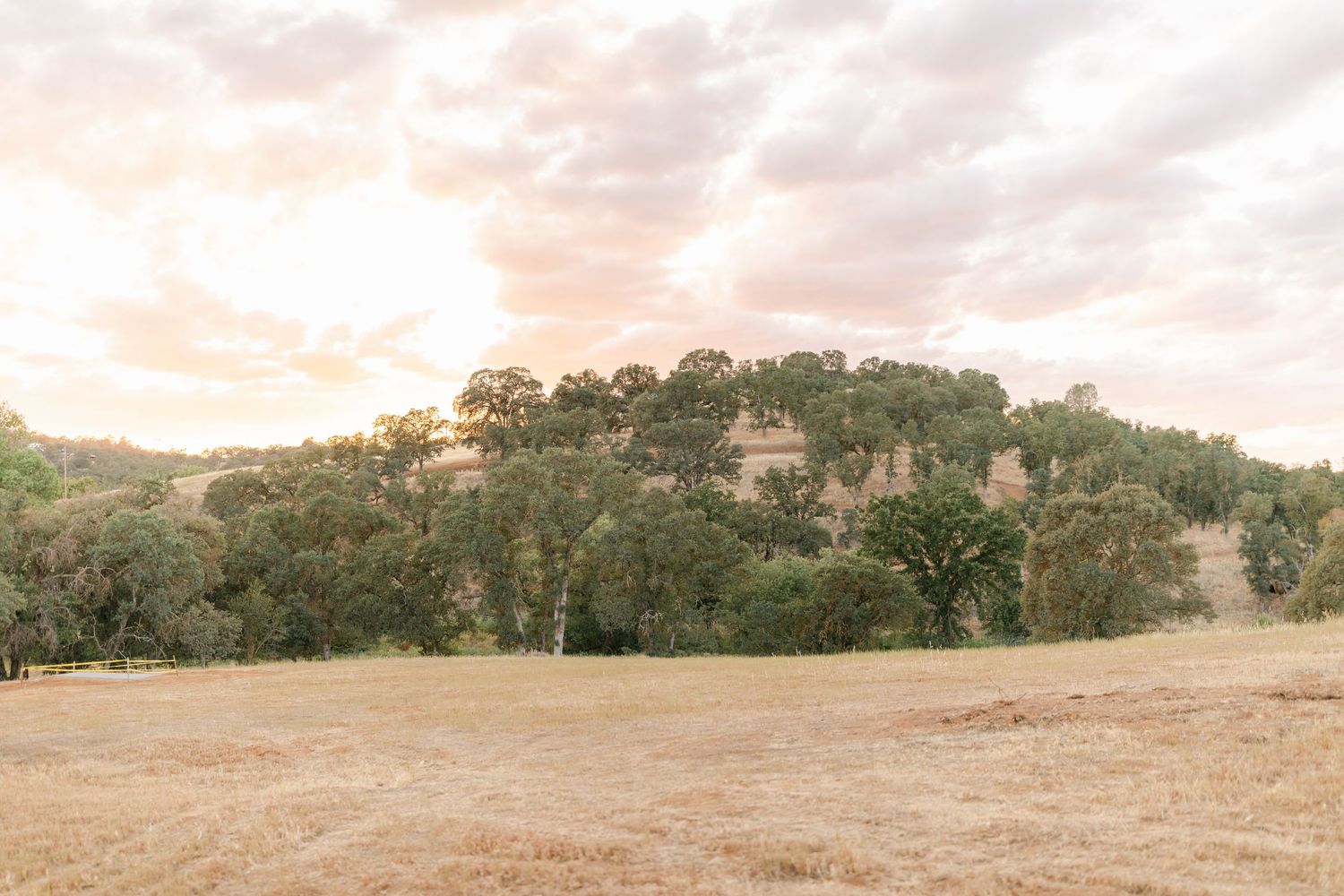 A glowing sunset and some oak trees in California Captured by Chelsee Rawe Photography