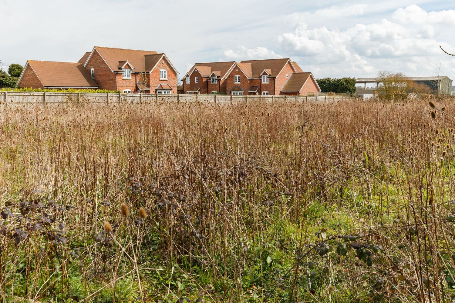 Development plot
