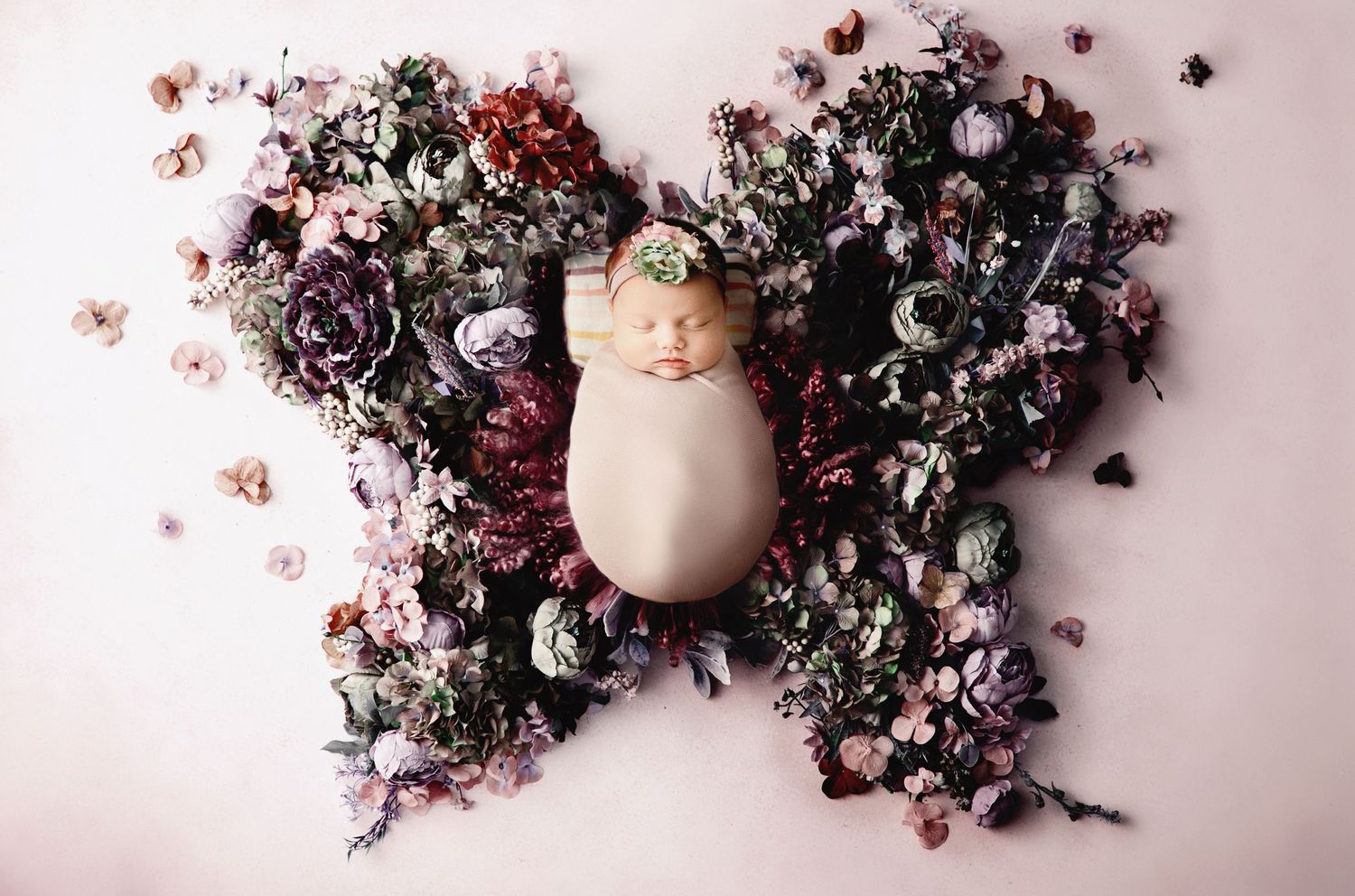 Chillicothe Ohio Newborn Photographer