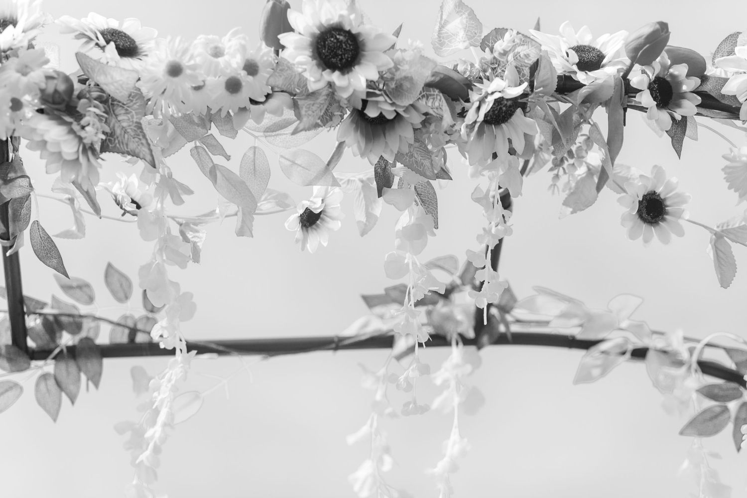Black and white floral border design with sunflowers and decorative elements.