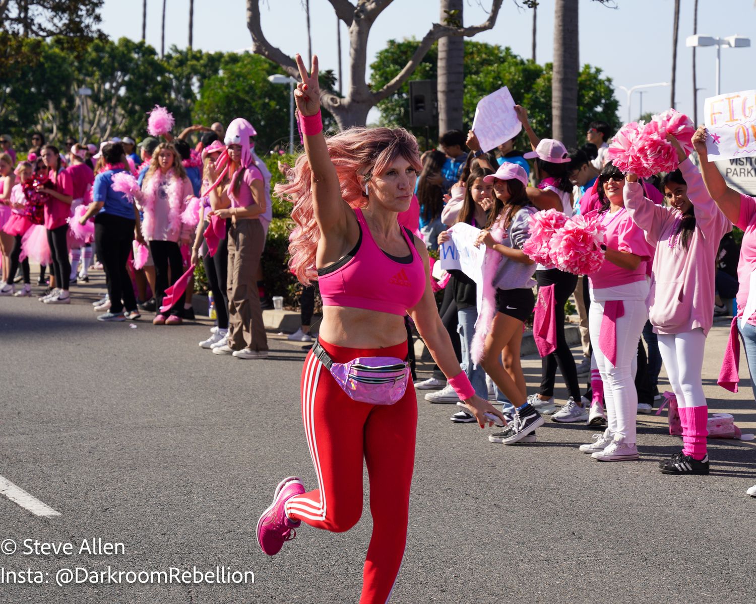 Susan G Komen More than Pink Walk