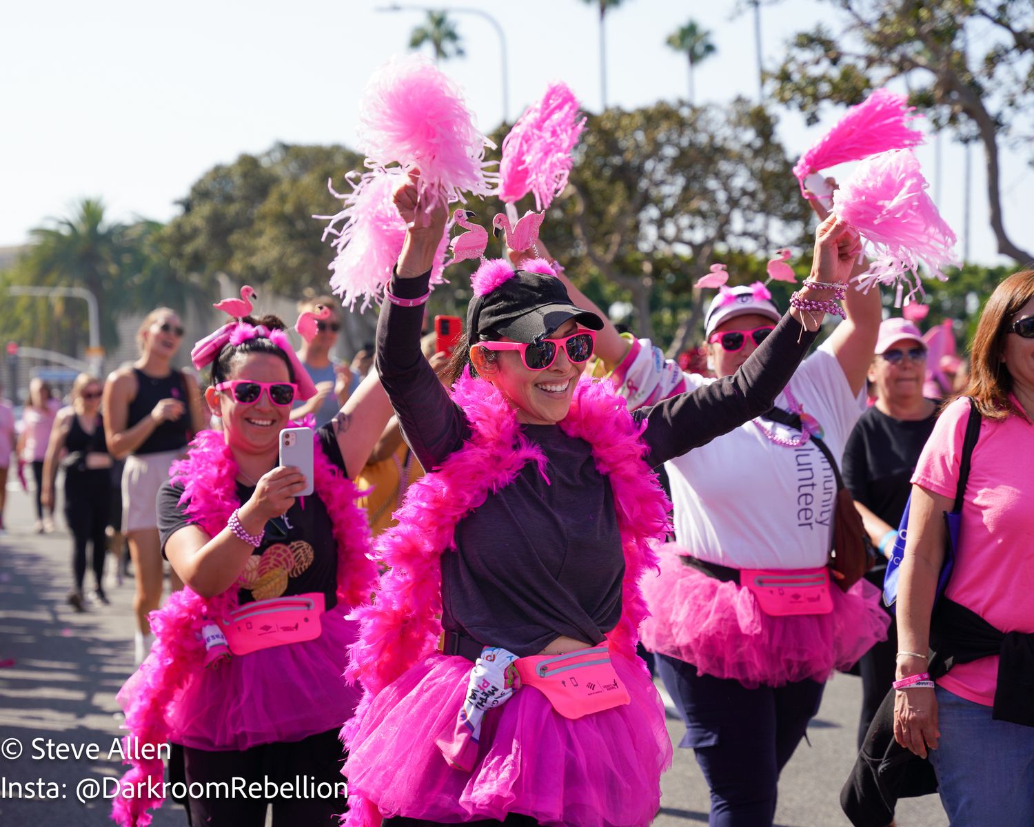 Susan G Komen More than Pink Walk