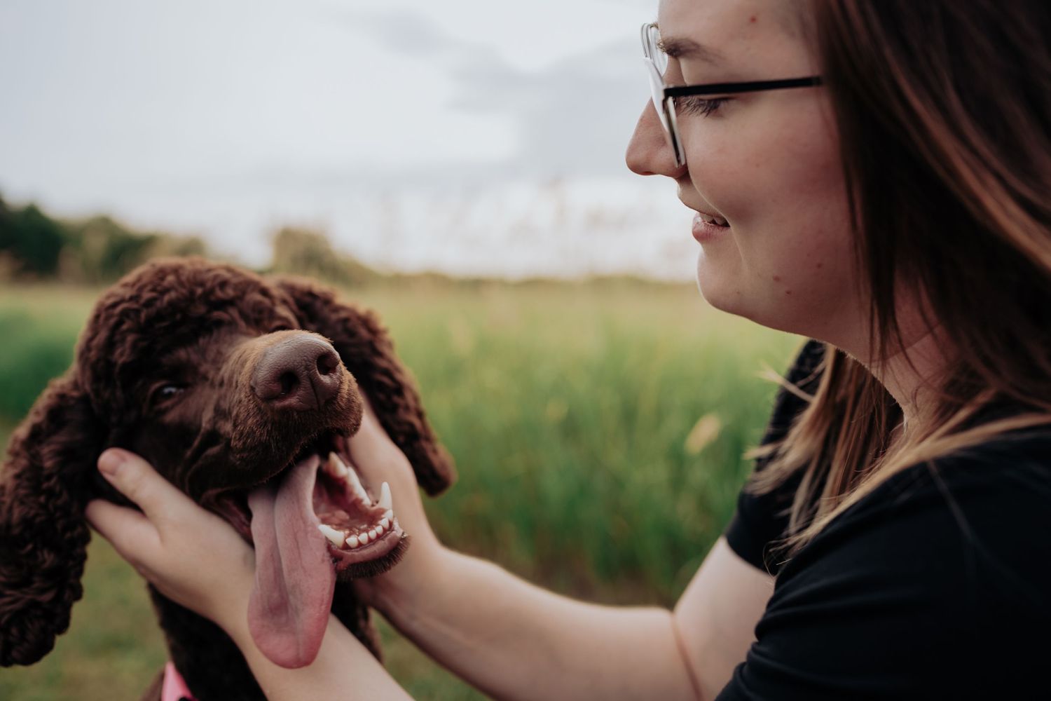 Happy dog with owner