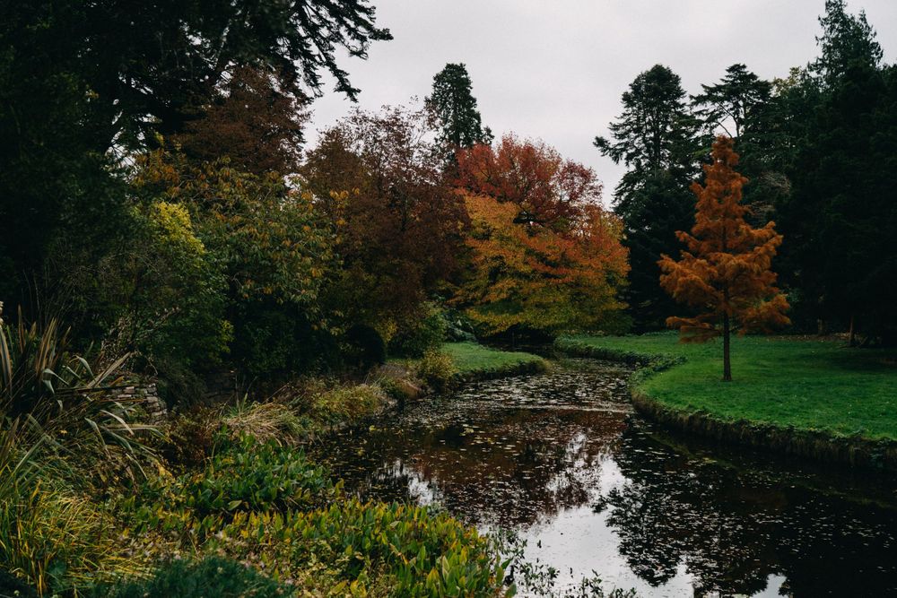Panoramic autumn landscape with trees reflecting in a still pond during fall season.