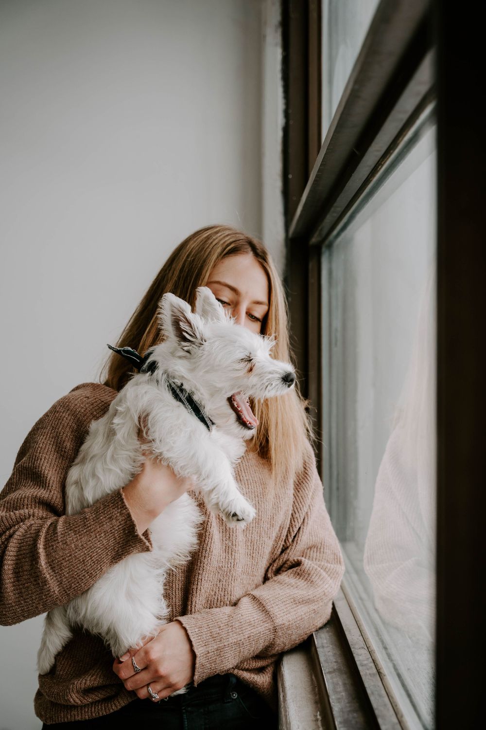 Cozy indoor portrait of someone in a brown sweater cuddling an adorable white fluffy puppy by a window.