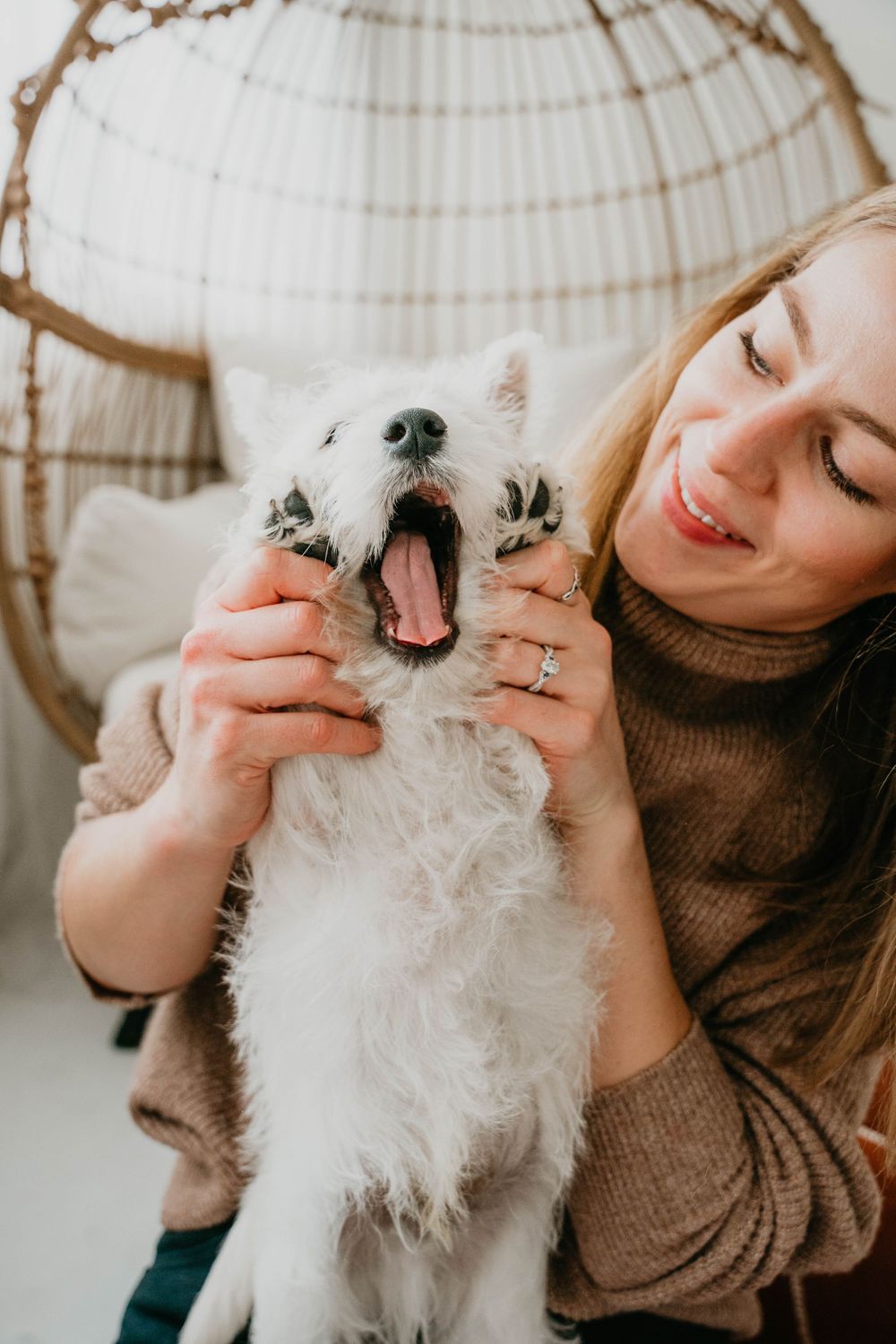Sweet interaction between a small white dog and someone wearing a brown sweater.