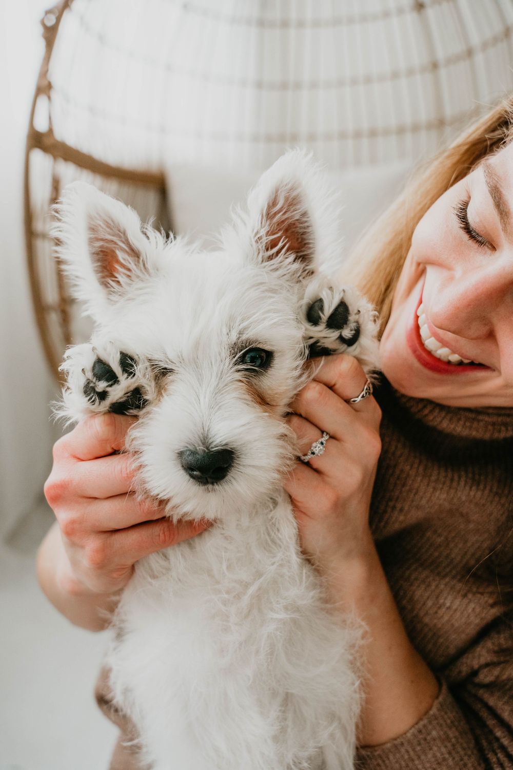 Candid moments of affection with a fluffy white Westie puppy against a light background.