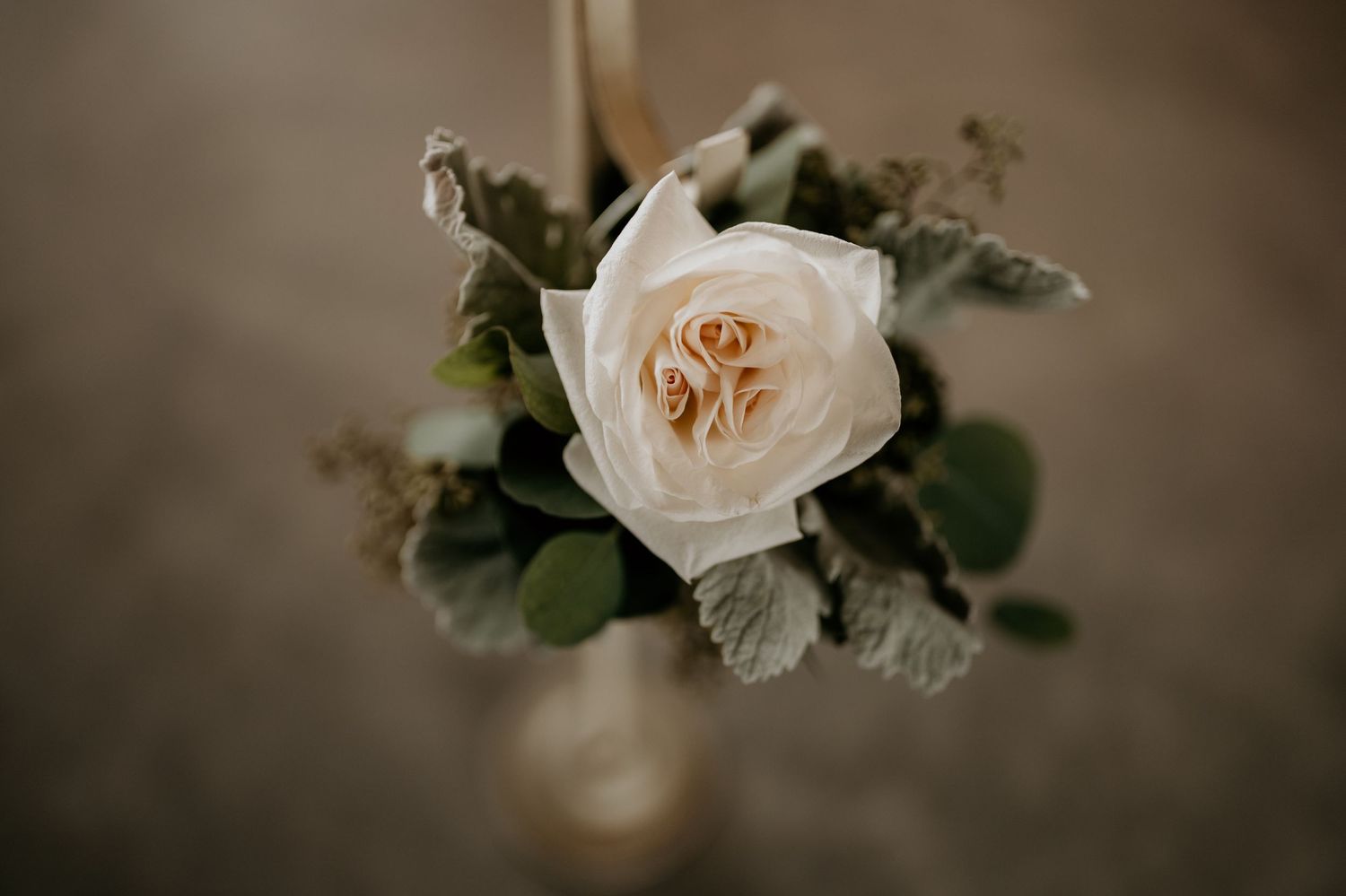 Coventry Oaks Palatka Florida Wedding Venue Photography
