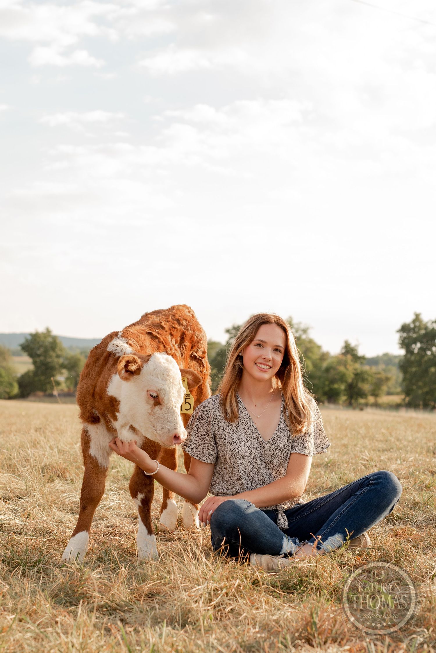 Brown and white cow playfully interacting with someone in a sunny field at golden hour.
