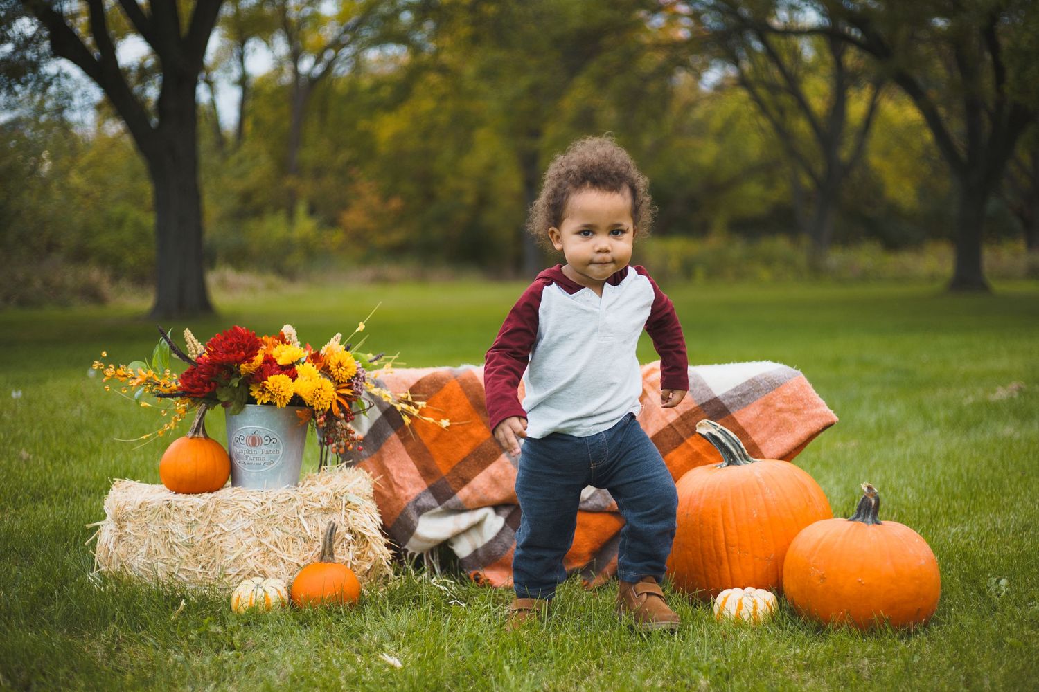 toddler pumpkins fall photoshoot outdoors odana hills park