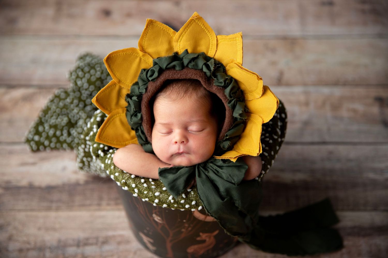 International Award Winning Images Newborn Photographer