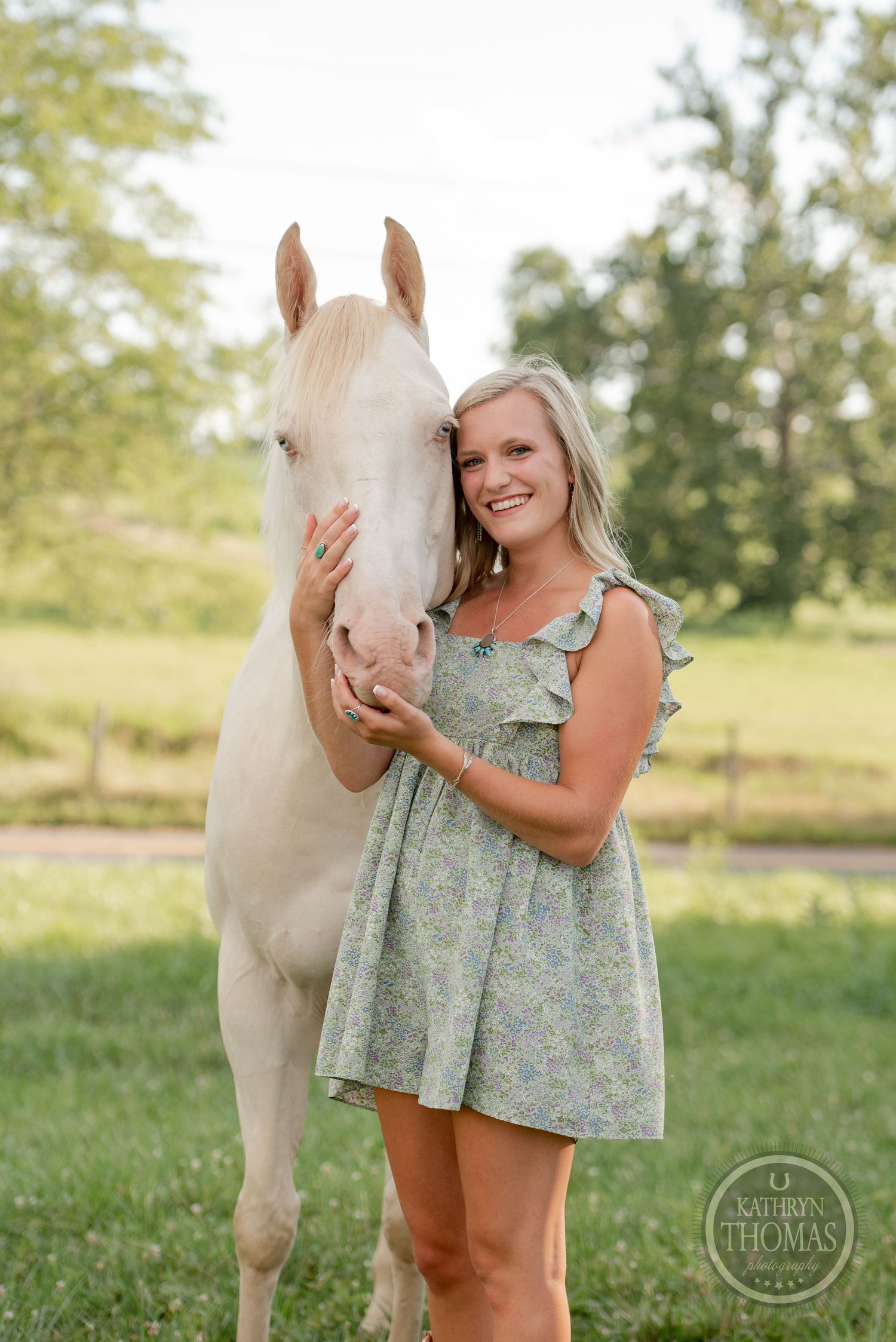 A stunning white horse with a gentle expression stands in a sunlit meadow.