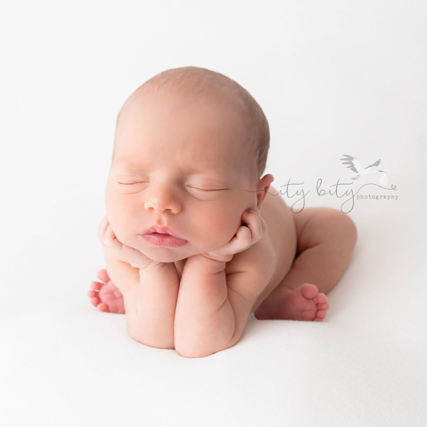 Avon Ohio Family & Newborn Photographer near Cleveland Froggy Baby