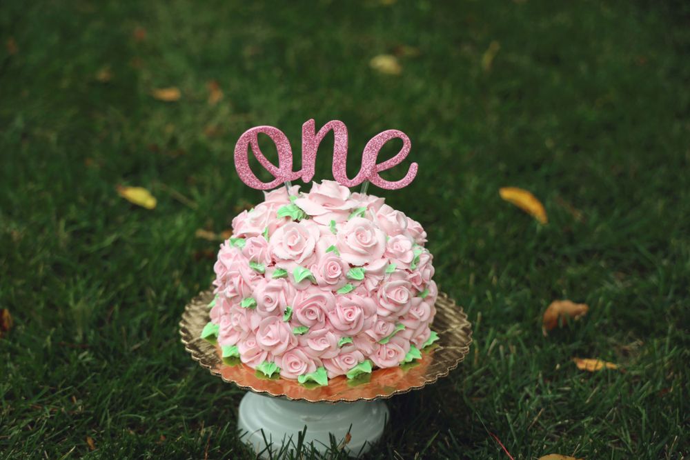 1st Birthday smash cake photos smash cake photographer smash cake photography