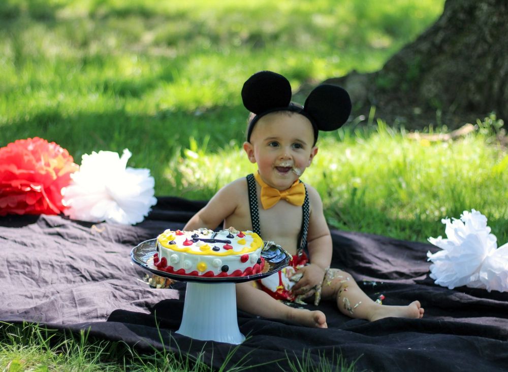 1st Birthday smash cake photos smash cake photographer smash cake photography