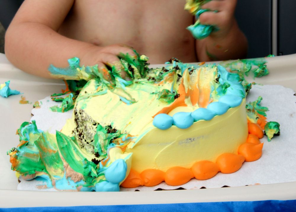 1st Birthday smash cake photos smash cake photographer smash cake photography
