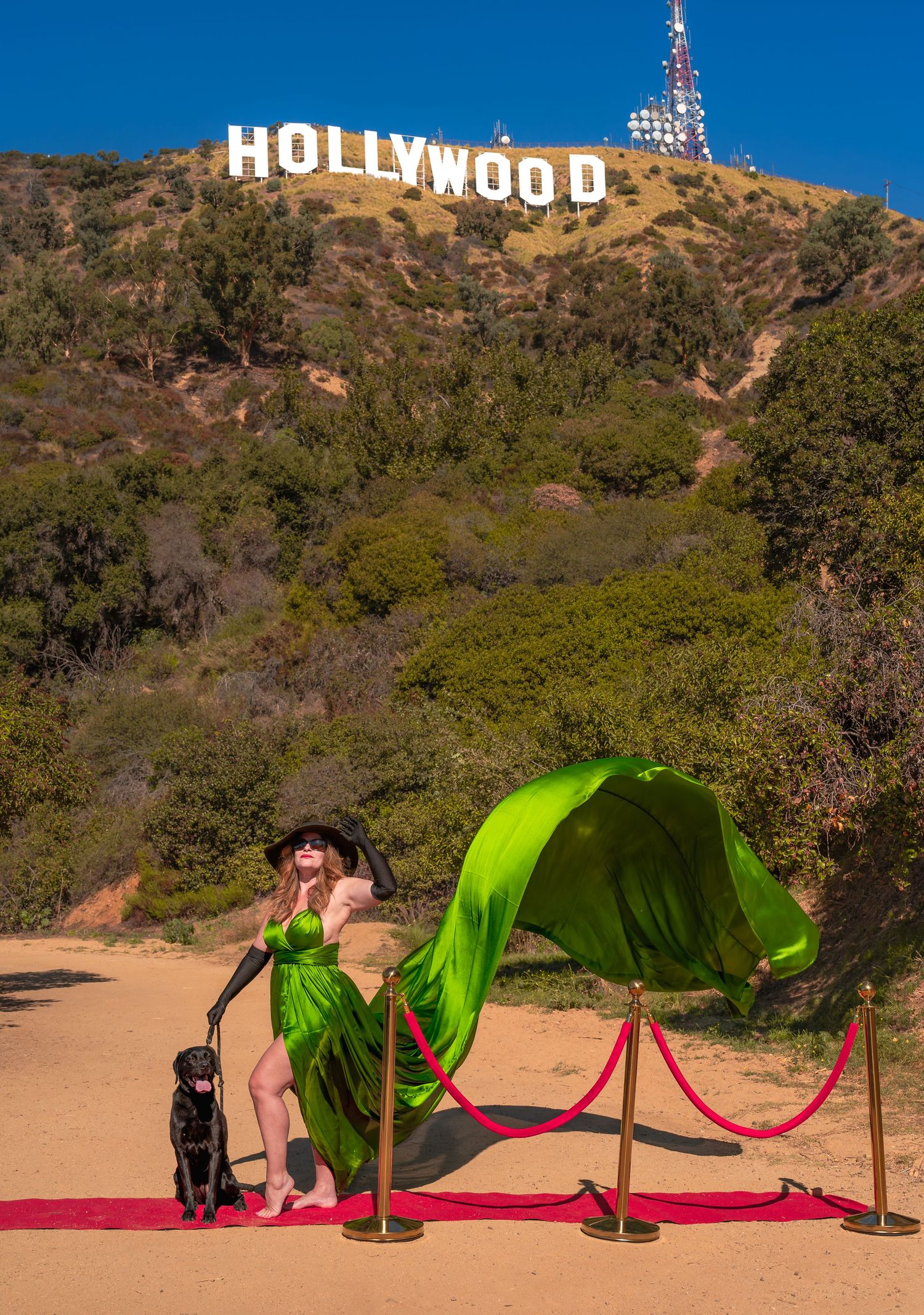 woman in a flying dress with a black dog in front of the Hollywood sign