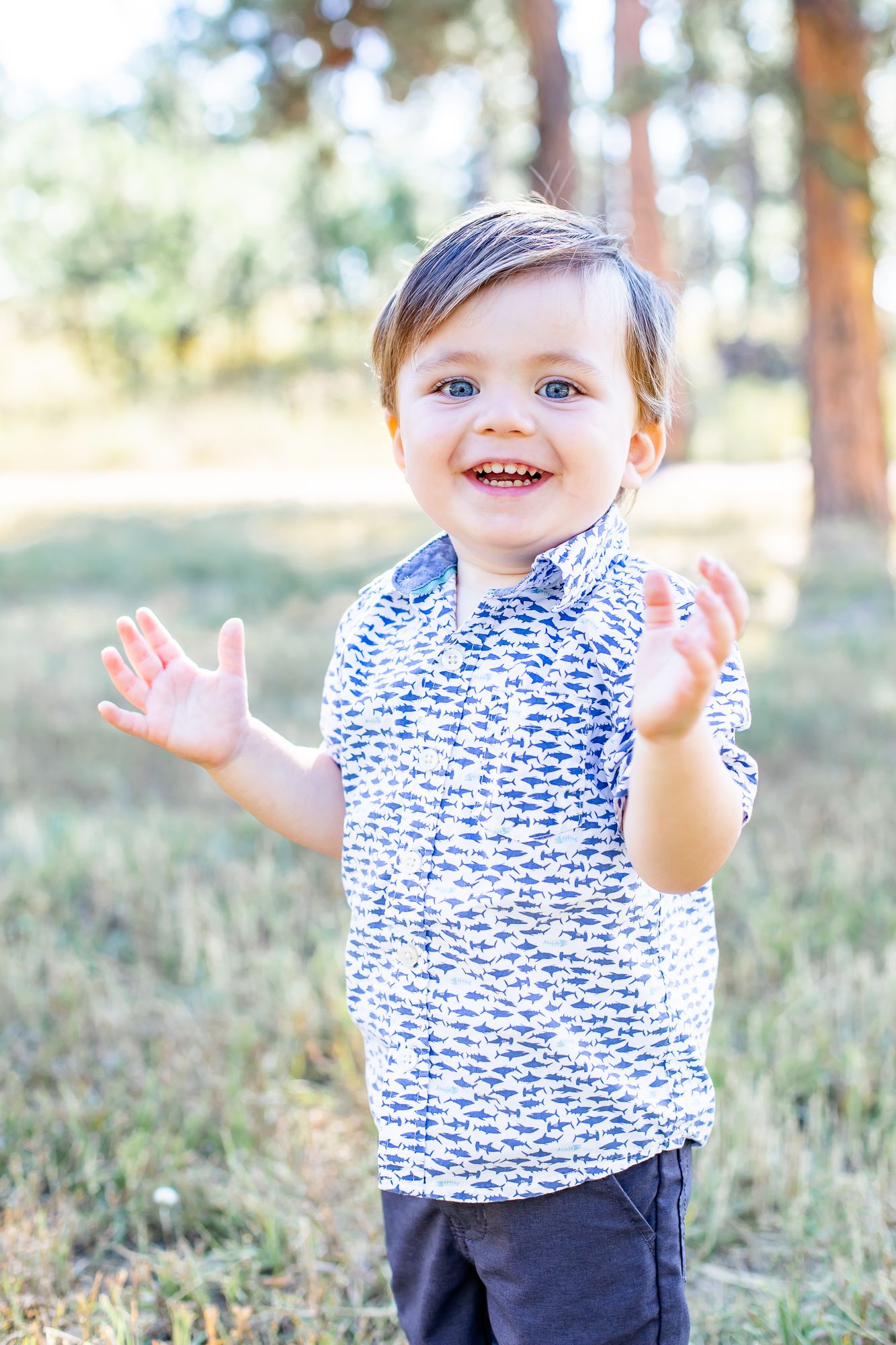 Toddler boy claps his hands and smiles in Black Forest, Colorado.