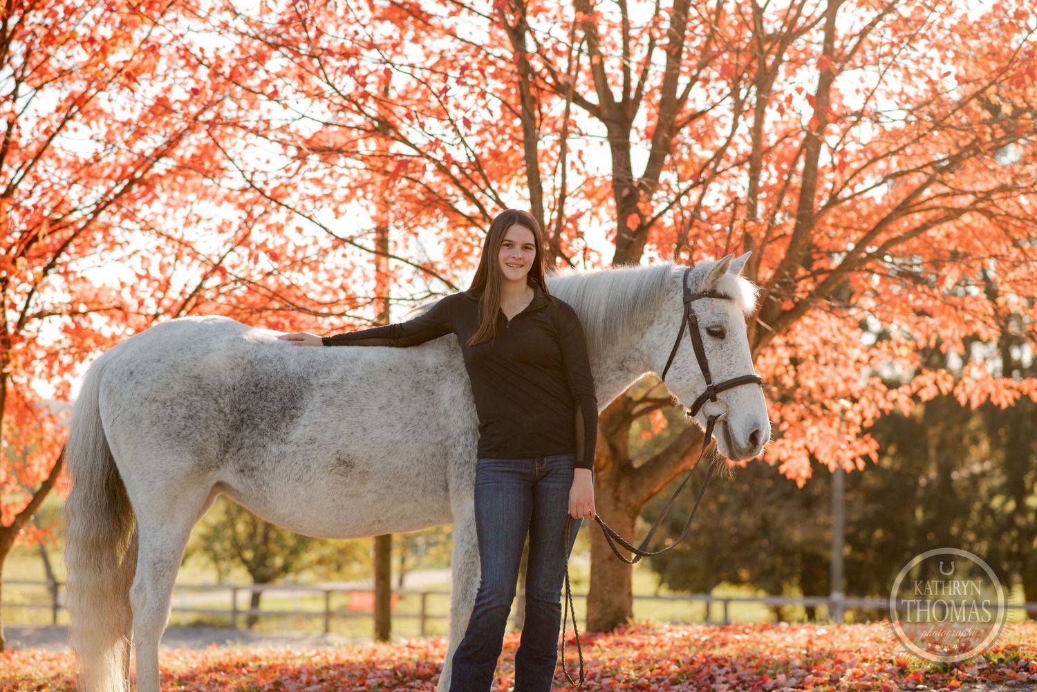 A serene autumn scene with a grey horse and orange fall foliage in the background.