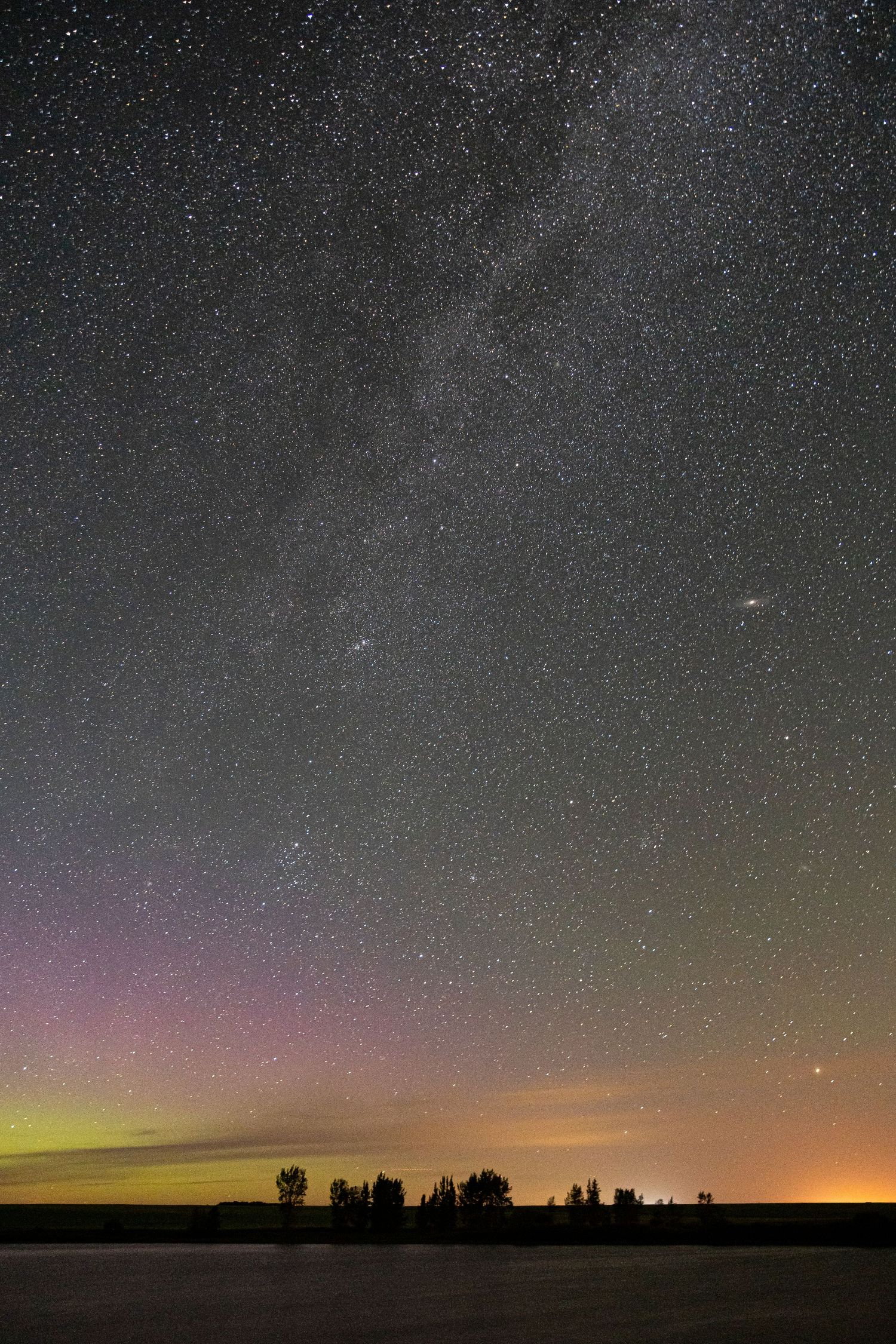 Starry night sky with aurora glow on horizon and silhouetted treeline.