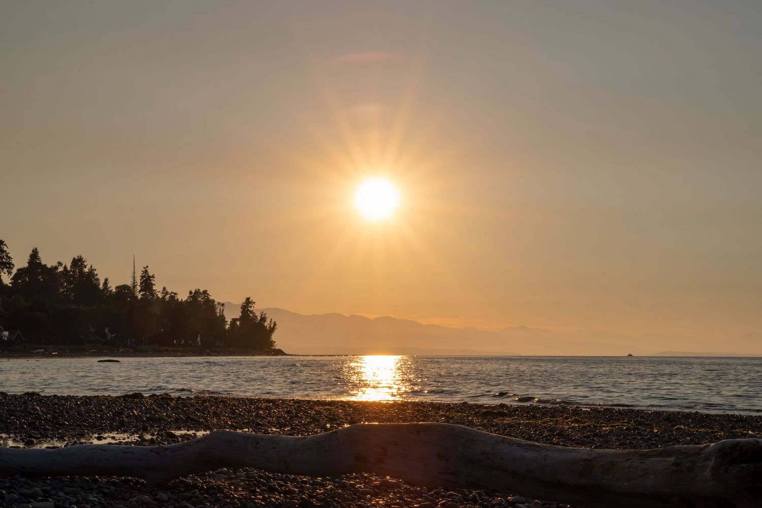 Dramatic sunset over a rocky coastline with silhouetted trees and mountains in the distance.