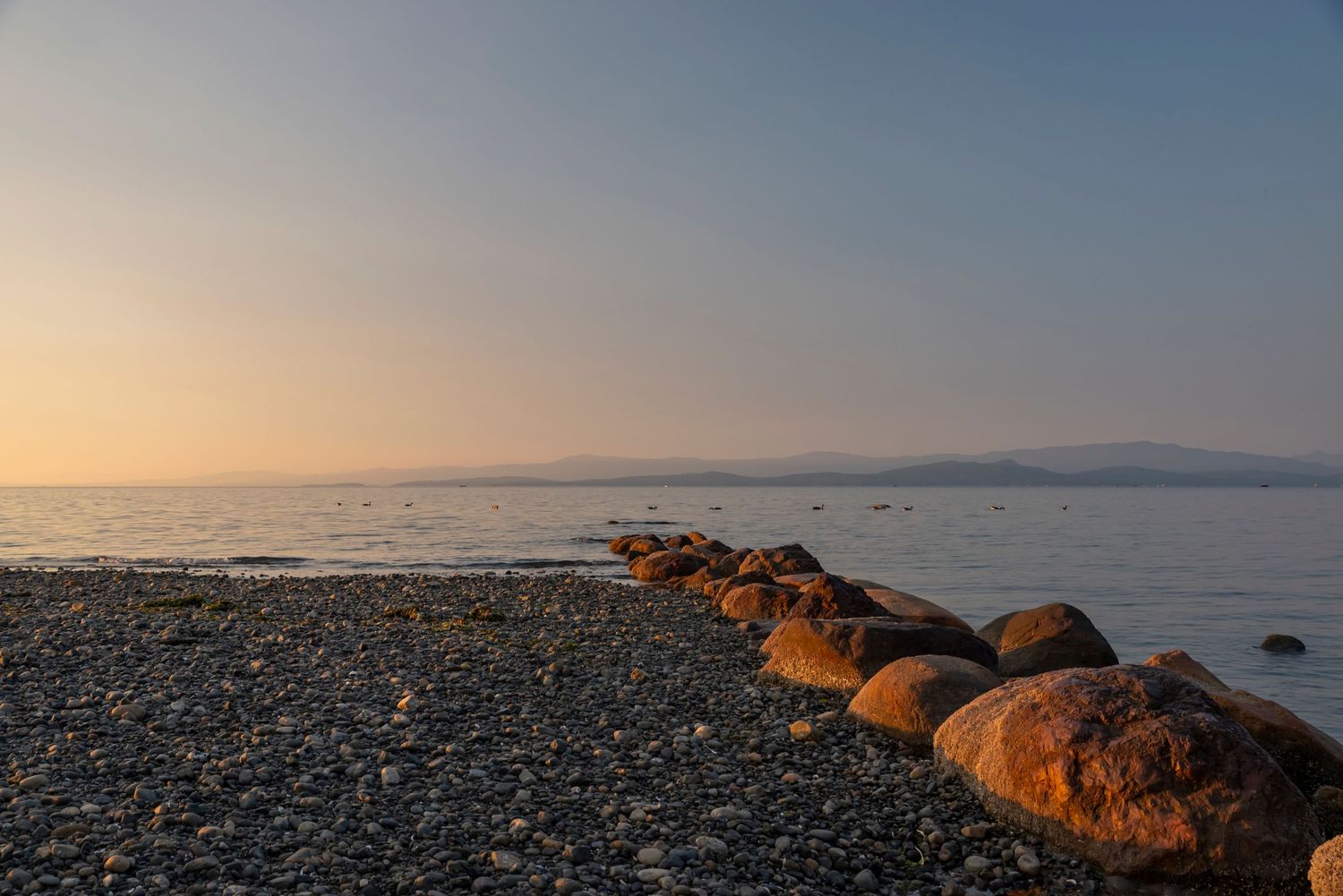 Rocky beach with large boulders glowing orange in evening light along a misty coastline.
