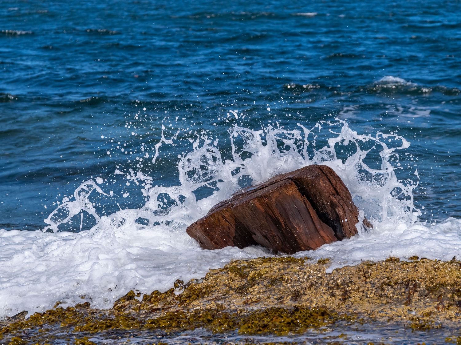 Ocean waves crashing against a rocky shore creating a dramatic splash.