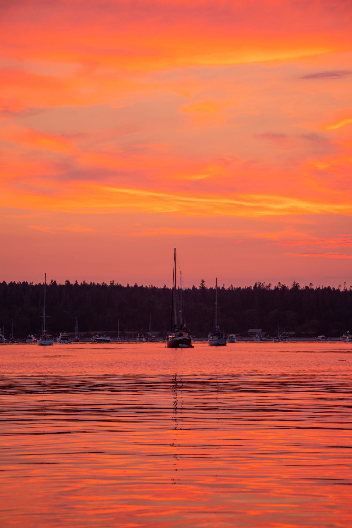 Sailboats silhouetted against a vibrant orange and pink sunset over calm harbor waters.