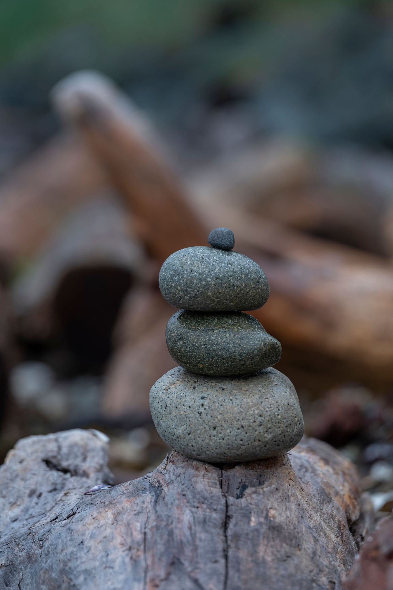 Balanced stack of three smooth gray stones on driftwood in nature.