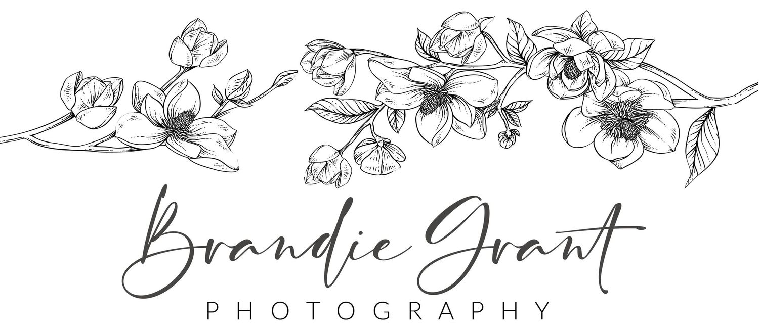 Brandie Grant Photography Logo. Black and white magnolia branches over the name in script